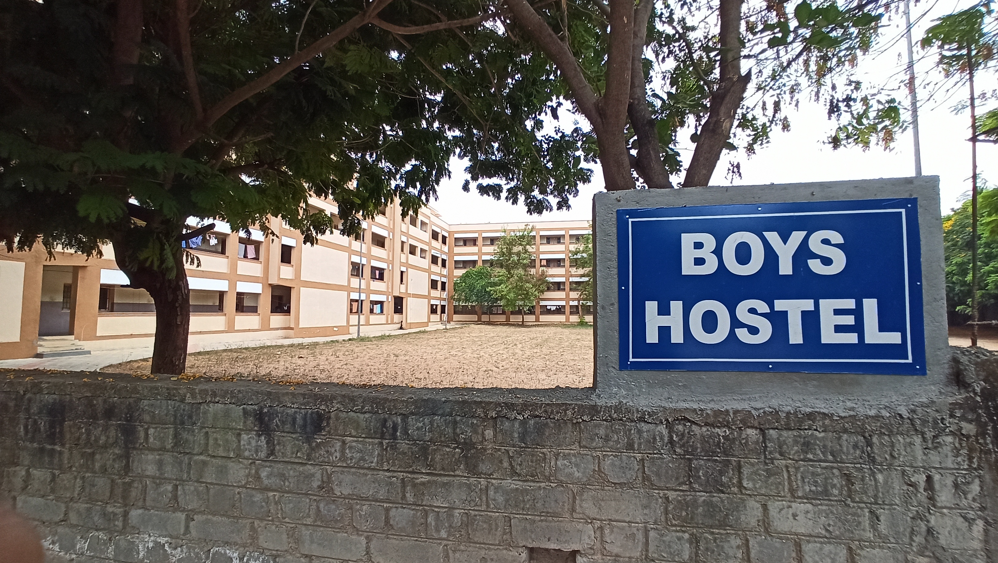 Computer network globe